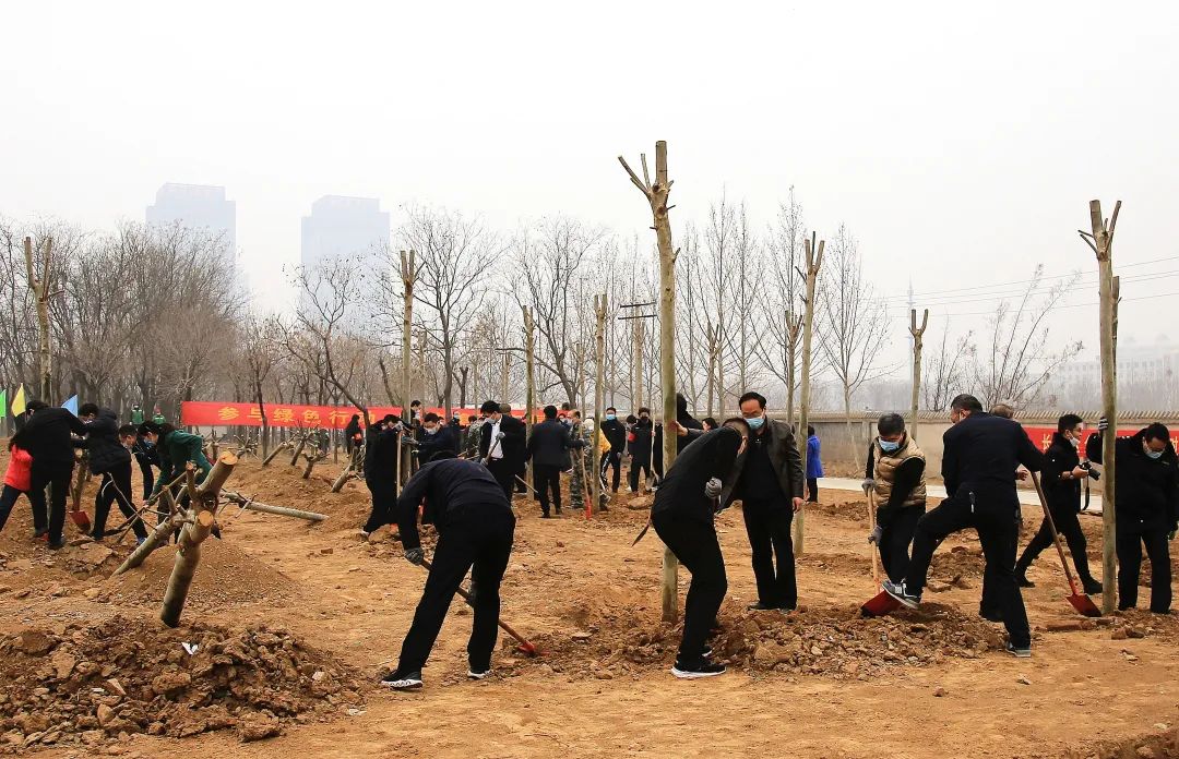 pg电子网站：长安区组织开展义务植树活动